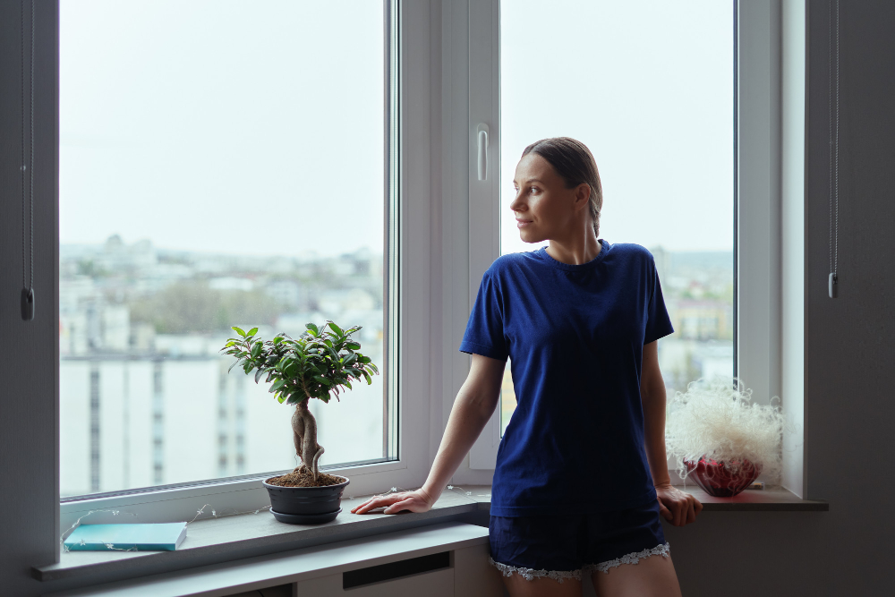 Provo Window Styles
